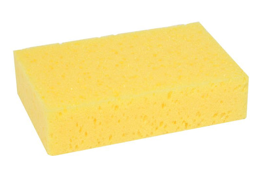 All Purpose Sponge