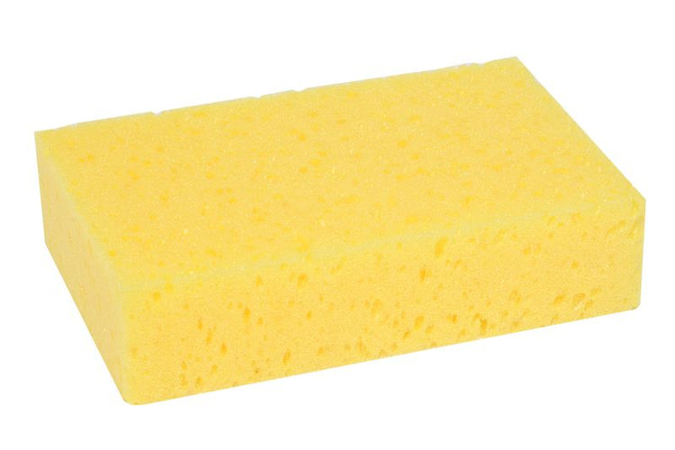 All Purpose Sponge